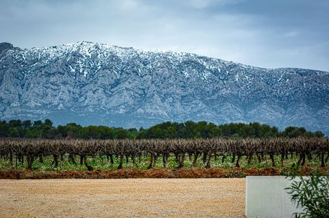 Domaine Jas Monges