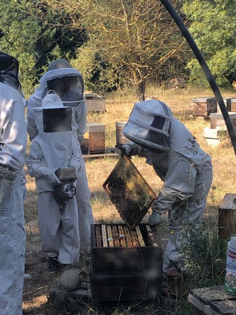 L'Abeille qui cultive