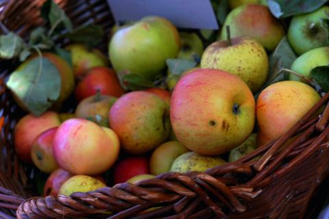 Le Panier de Tine