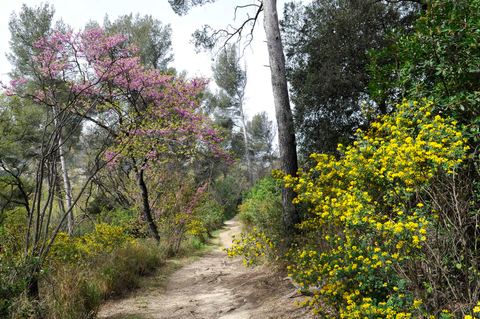 Parc des 7 collines