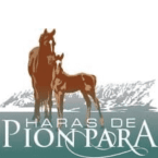 Haras de Pion Para