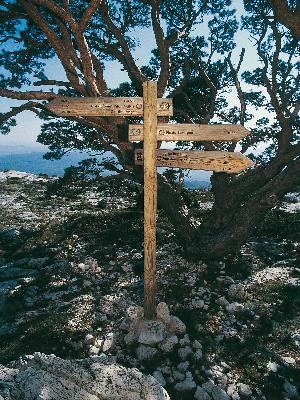 Massif Sainte Baume : Du pont des Encanaux au pic de Bertagne