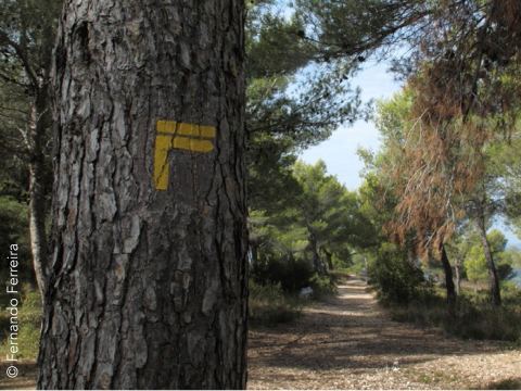 GR de Pays Sentier Provence, Mines d'Energie