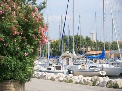 Port Albert Samson