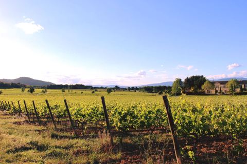 Sentier vigneron de Château Paradis