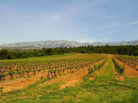 Cave de Rousset