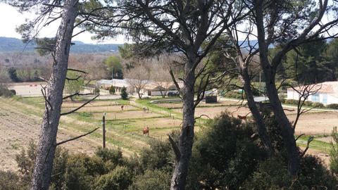 Les écuries de la Loubiere - centre équestre pertuis