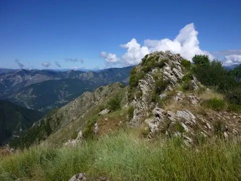 L'Arpiha