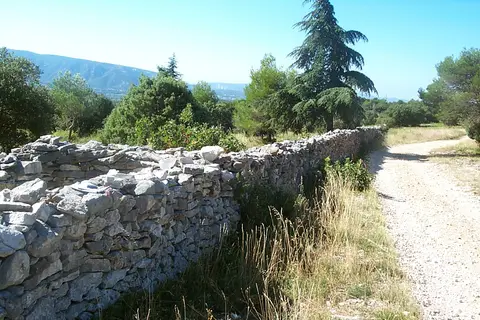 Mur de la Peste