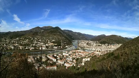 Les oreilles d'âne