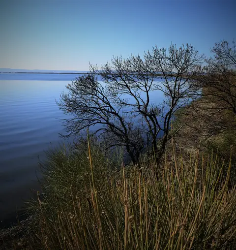 Marais de la Petite Camargue et des Palous