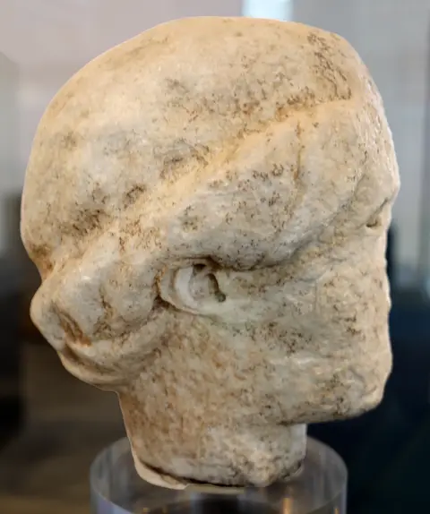 Testa Nègra