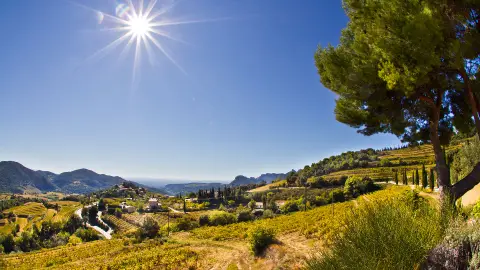 Domaine de la Ferme Saint-Martin