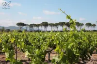 Domaine de la Maurette