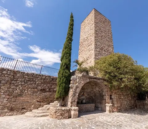 Porte du Miracles des Roses