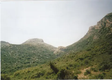 Les Opies