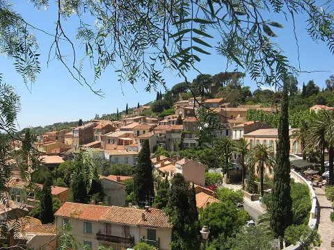 Marche sur Bormes les Mimosas