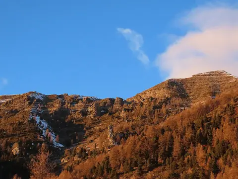 Col du Viallet