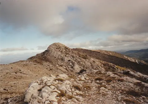 Jouc de l'Aigle