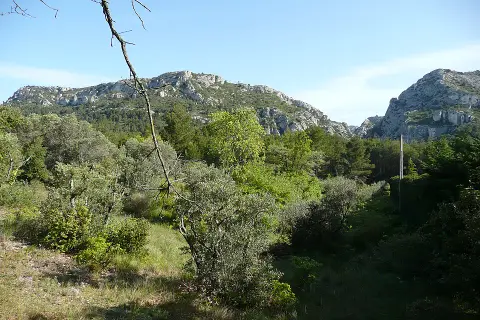 Arboretum du Font de l'Orme