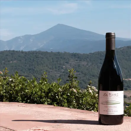 Domaine LaBori