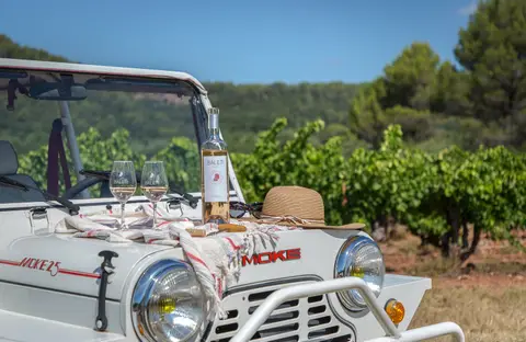 Cave Vignerons du Luc