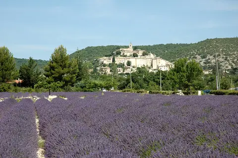Bondon