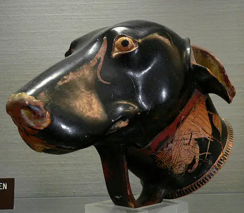 Tête de Chien
