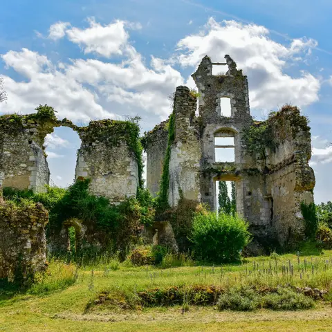 Château de Forbin (ruines)