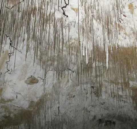 Grotte au lierre