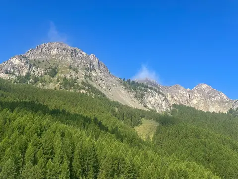 Arêtes de la Bruyère
