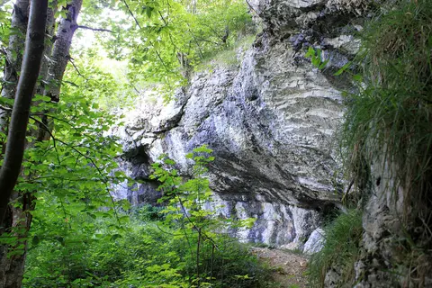 Abri sous roche du Promontoire