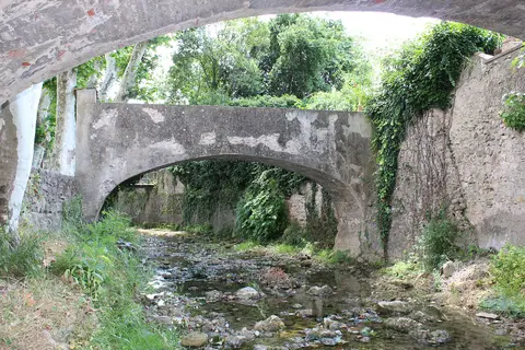 Baume Térène