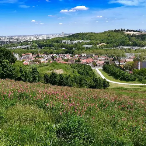 Butte des Pinsots