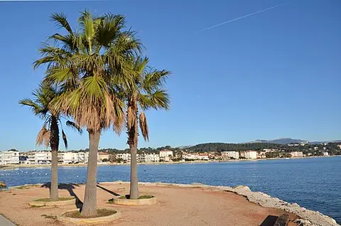 Le Tamary