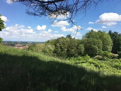 Colline de la Jauberte