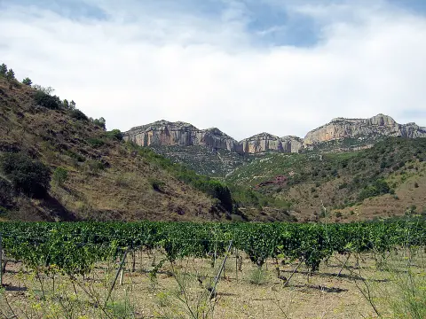 Les Priorats