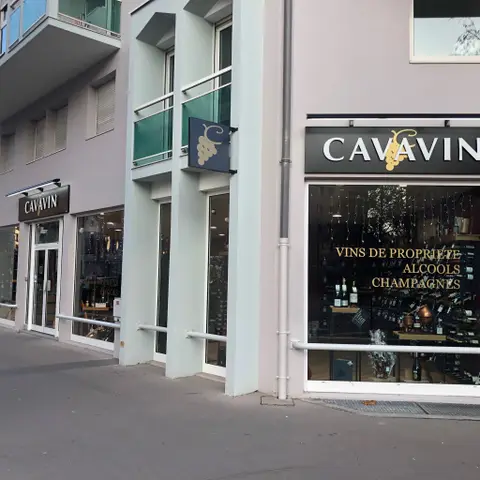 Cavavin