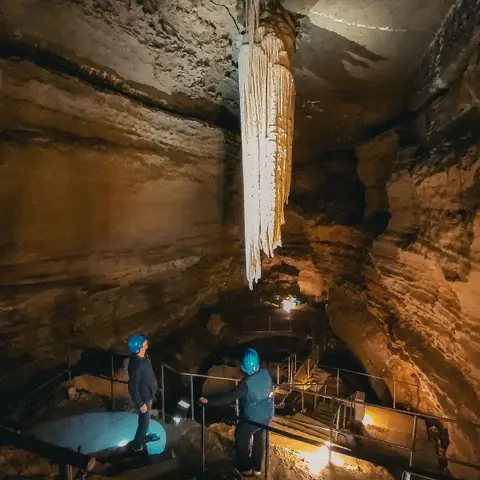 La Cave du Collet