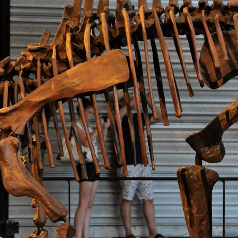 Musée des Dinosaures