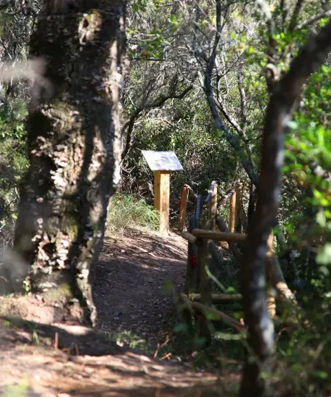 Sentier Botanique De Sainte Propice