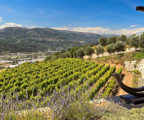 Riviera Wines