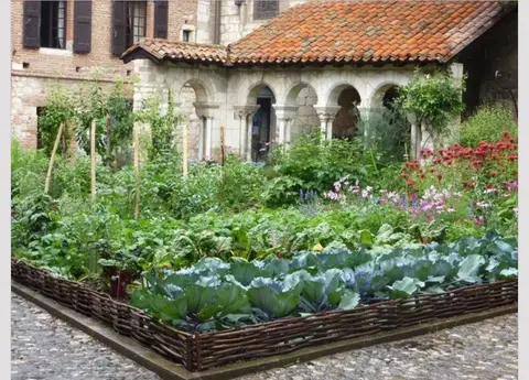 Potager d'un Curieux