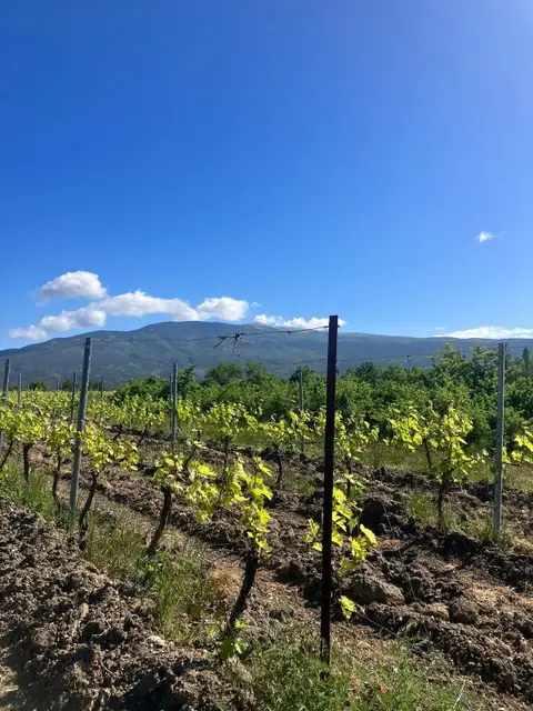 Tête de la Grave