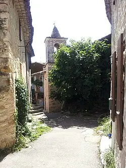 Baume Galinière