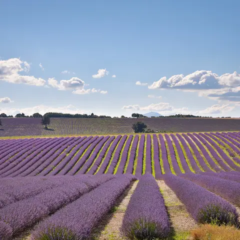 Le Vieux Redortiers