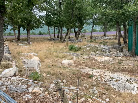 Ferme auberge La Maguette