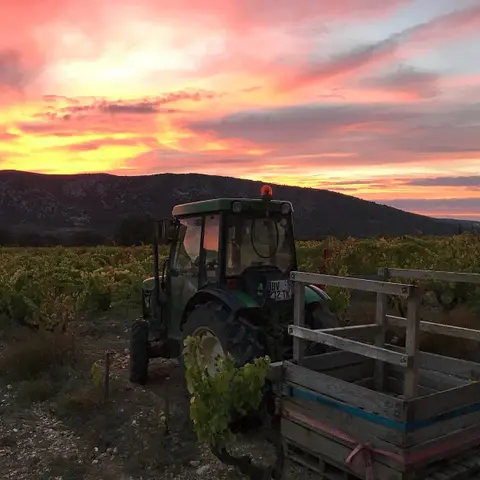 Saint Jean du Barroux's Winery