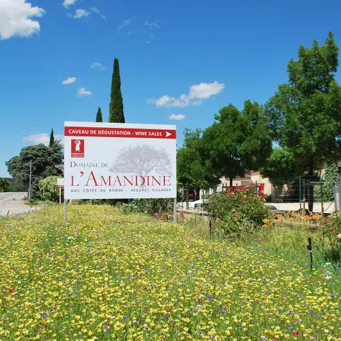 Domaine de l'Amaurigue