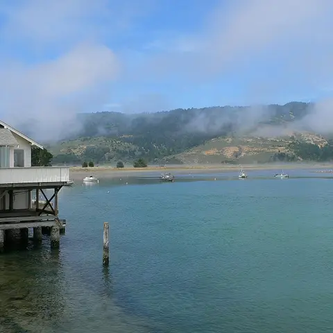 Bolinas